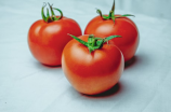 番茄(番茄中的番茄红素及其功效)